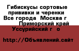 Гибискусы сортовые, прививки и черенки - Все города, Москва г.  »    . Приморский край,Уссурийский г. о. 